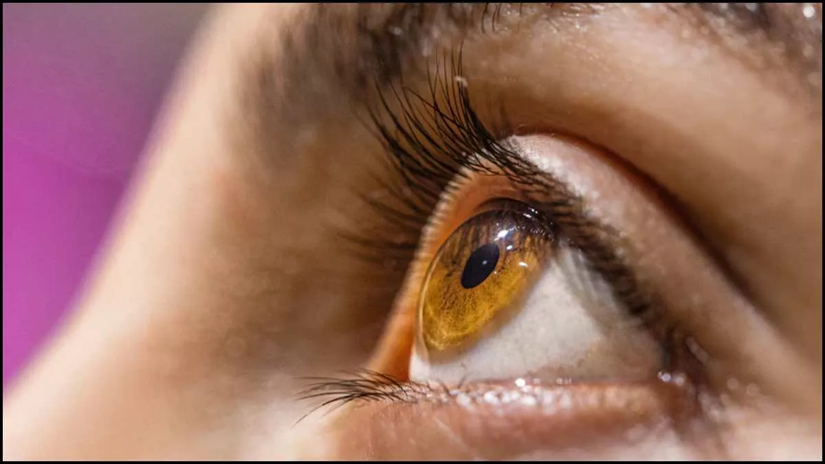 Eye Twitching Causes: आंखों के फड़कने का कारण हो सकती हैं ये 2 गंभीर बीमारियां