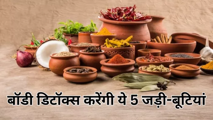 बॉडी डिटॉक्स करने में मदद करेंगे ये 5 हर्ब्स