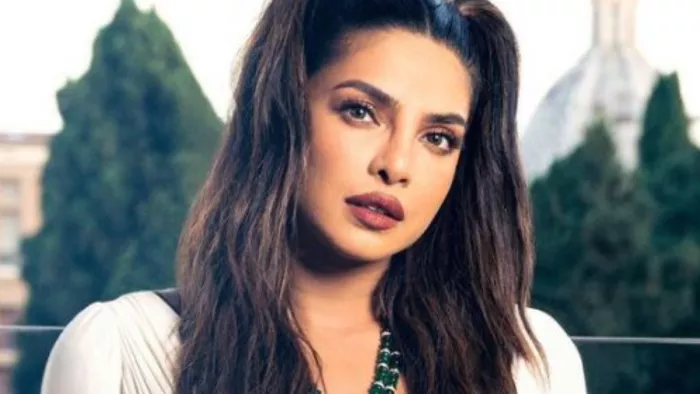 Priyanka Chopra हुई डीपफेक वीडियो का शिकार / फोटो- Instagram