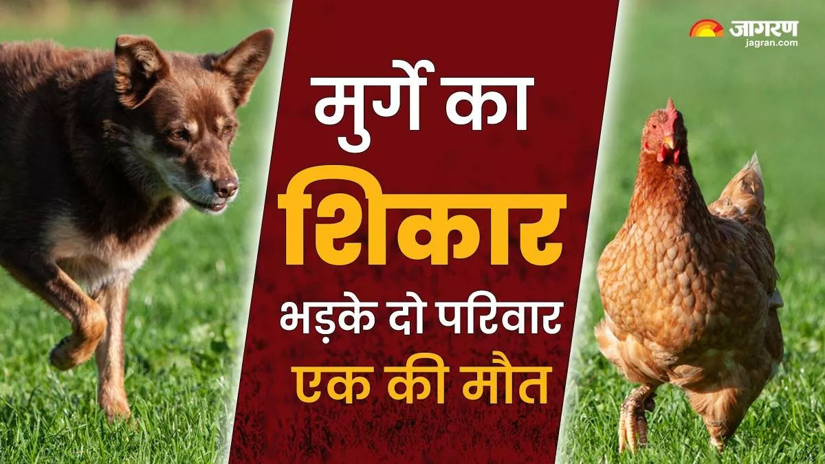 Arwal News: कुत्ते ने किया मुर्गे का शिकार तो बिहार में भिड़ गए दो परिवार, मालिक निकला कोई तीसरा