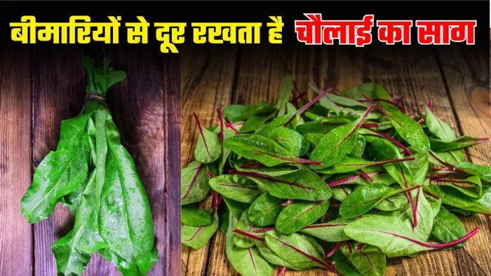 Chaulai Saag के ये फायदे जानकर रह जाएंगे हैरान। (Image Credit- freepik)