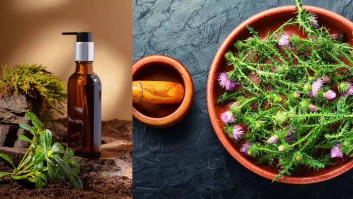 बालों को मजबूत बनाने में मदद करेंगे ये Medicinal Leaves। (Image Credit- Freepik)