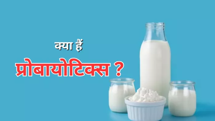 जानें क्या हैं प्रोबायोटिक्स और इसके फायदे
