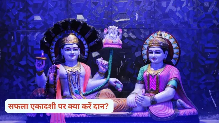 Saphala Ekadashi 2024: सफला एकादशी के दिन इन चीजों का करें दान, जीवन में खुशियों का होगा आगमन