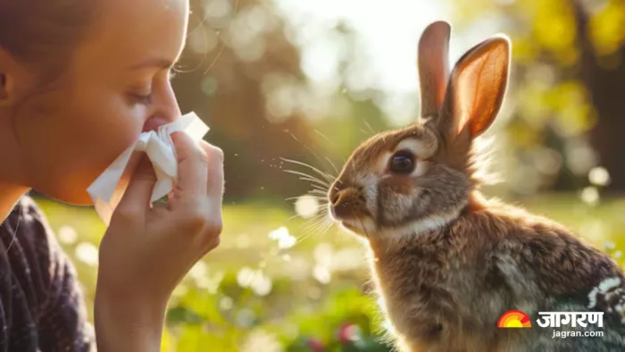 अमेरिका में तेजी से बढ़ रहे Rabbit Fever के मामले, जानें किन लोगों को ...