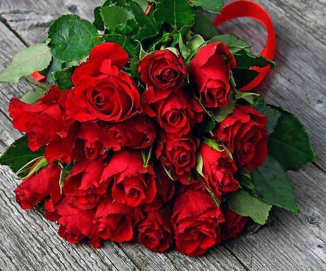 photo Rose Day Date 2021 Photos happy rose day 2021 date wishes images