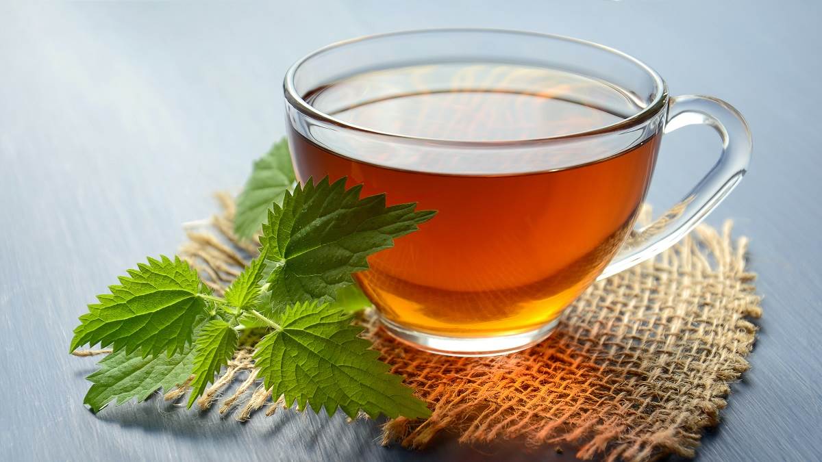 जब आप हरी चाय में काली मिर्च का पाउडर मिलाते हैं, तो आपकी आंतों की स्थिति पर इसका प्रभाव पड़ता है। हरी चाय: क्या आप ग्रीन टी के शौकीन हैं?  आधी चुटकी काली मिर्च पाउडर डालने के फायदे