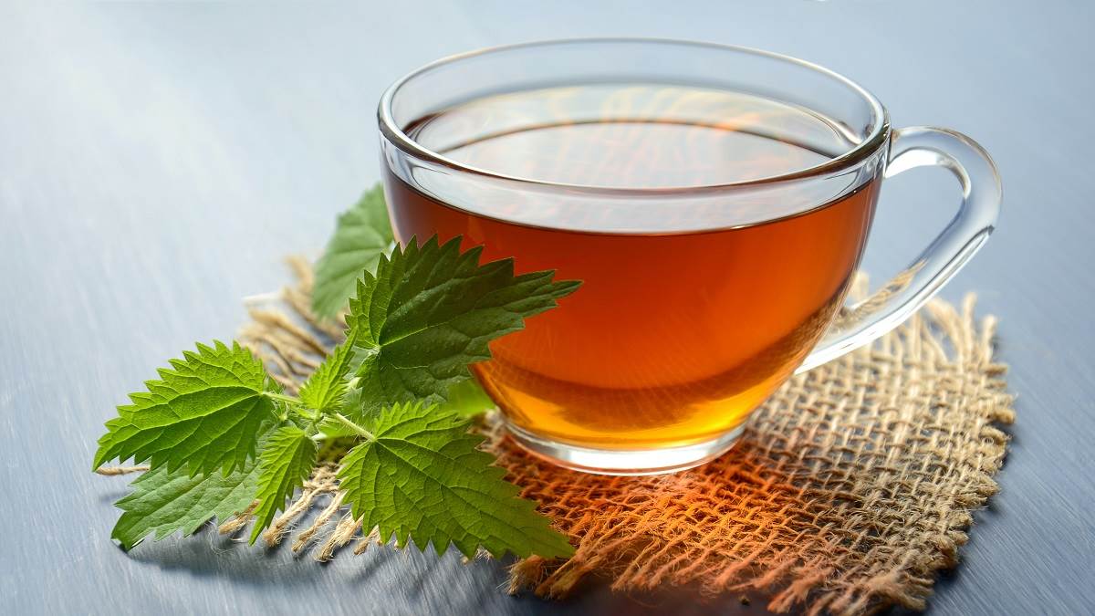 https://www.jagranimages.com/images/newimg/07022023/07_02_2023-best_green_tea_brands_in_india_23322083.jpg