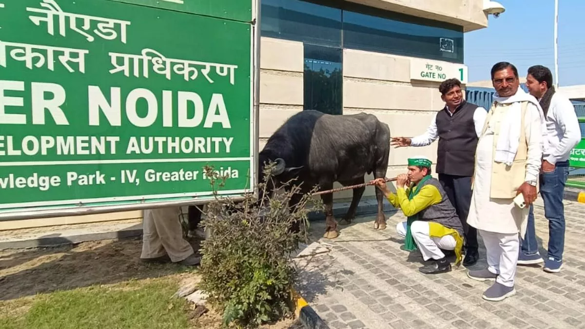 किसान संगठनों ने ग्रेटर नोएडा प्राधिकरण का किया घेराव, अफसरों को जगाने के लिए भैंस लेकर पहुंचे कार्यालय