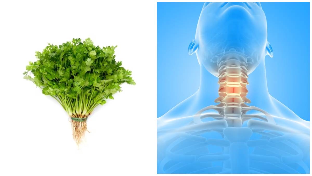 Coriander in Thyroid धनिया दिलाएगा थायराइड की समस्या से राहत, जानें