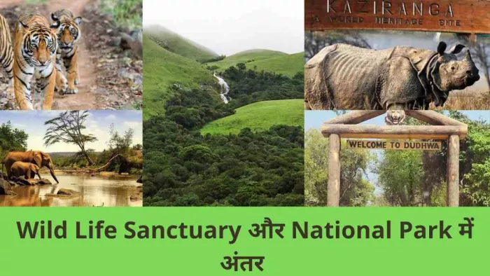 भारत में वर्तमान में 567 वाइल्ड लाइफ सेंचुरी हैं जबकि कुल 106 नेशनल पार्क।