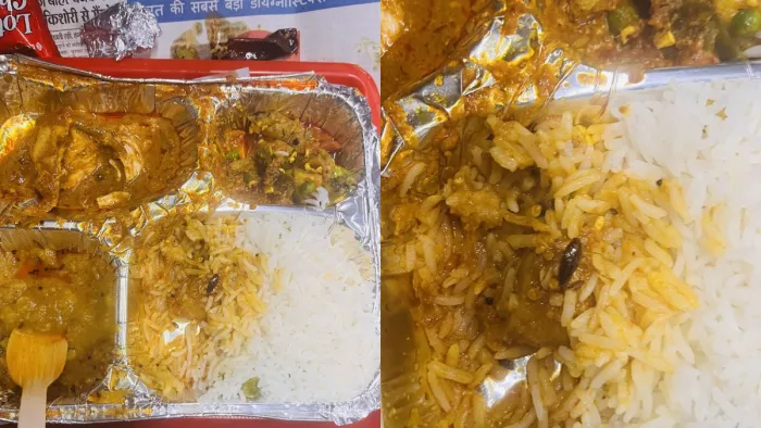 वंदे भारत एक्सप्रेस में यात्री के खाने में कॉकरोच मिला।(फोटो सोर्स: डाॅ. शुभेन्दु केशरी एक्स हैंडल)