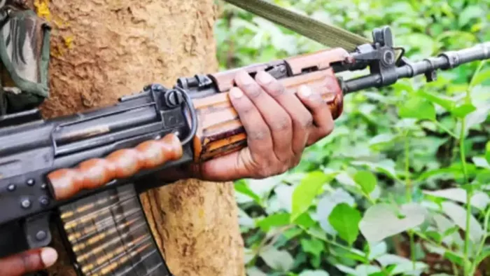 Jharkhand Crime: चतरा में पुलिस और नक्सलियों के बीच मुठभेड़, दो जवान बलिदान; तीन घायल, एक की हालत गंभीर