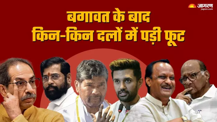 कहीं चाचा तो कही भतीजे ने दिया धोखा... NCP ही नहीं इन पार्टियों में भी पड़ी फूट (फोटो जागरण ग्राफिक्स)