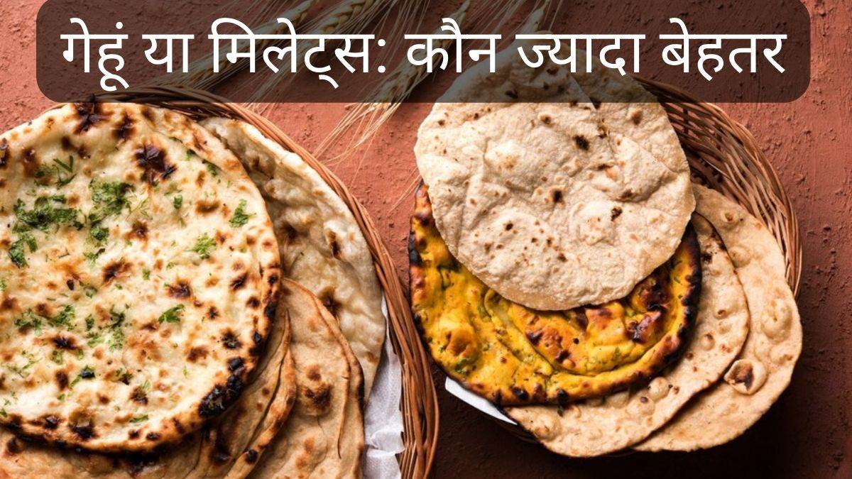 Millet vs Wheat Roti मिलेट्स या गेहूं, जानें किसके आटे की रोटी है सेहत