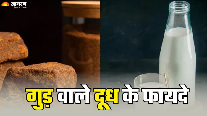 रोजाना पिएं गुड़ वाला दूध और देखें फायदे (Picture Credit- Freepik)