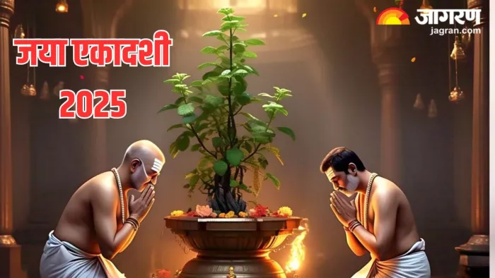 Tulsi Puja Vidhi: कैसे करें मां तुलसी को प्रसन्न? (Pic Credit-AI)