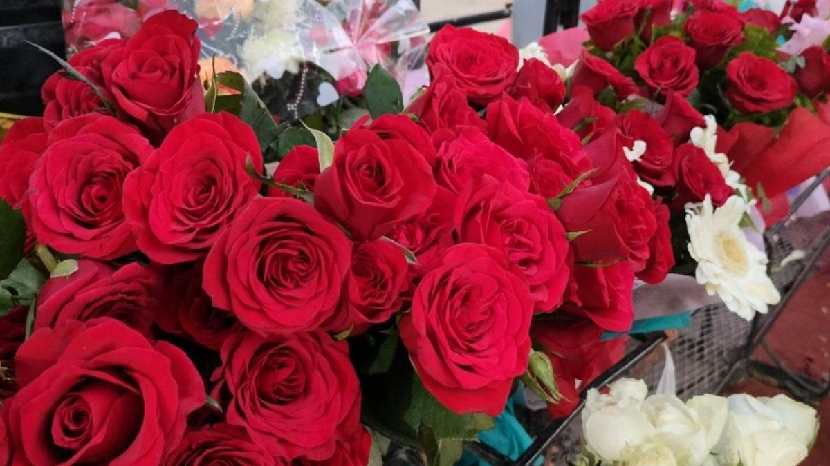 https://www.jagranimages.com/images/newimg/07022025/07_02_2025-roseday_23880238.jpg