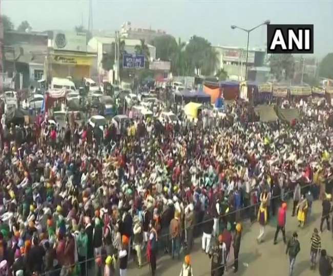 किसानों ने खेतों में ही दफन कर दीं सब्जियां