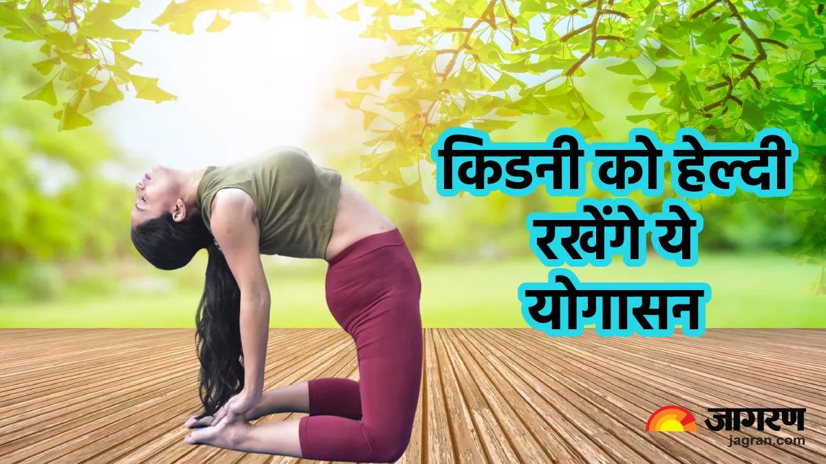 3 Yoga Poses for Kidney Health: Nourish Your Vital Organs -  Inneryogatraining - Medium