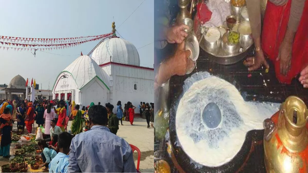 Mahashivratri 2024: शिवरात्रि पर इस मंदिर में सवा प्रहर के लिए विराजते हैं बाबा बैद्यनाथ, जानिए यहां की रोचक मान्यताएं