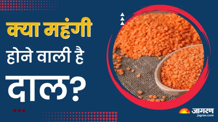 कीमतों को नियंत्रित करने के लिए बफर स्टॉक में कम से कम 35 लाख टन दाल होनी चाहिए।