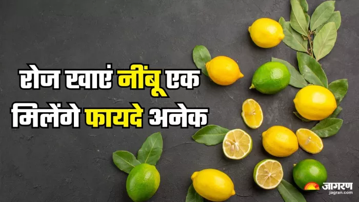 रोजाना एक नींबू खाने के फायदे (Picture Credit- Freepik)