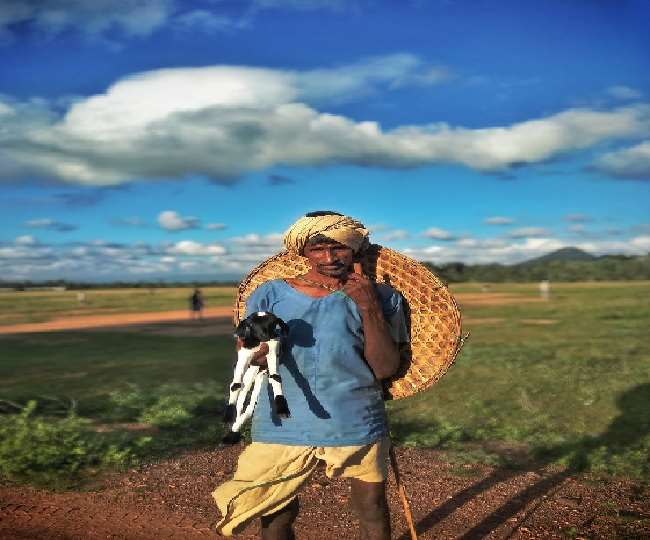 PM Kisan Samman Nidhi Yojana P C : Pexels