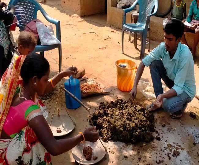 Chatra News, Jharkhand Samachar धीरे-धीरे गांव के लोगों में जैविक खेती को लेकर जागरुकता बढ़ रही है।