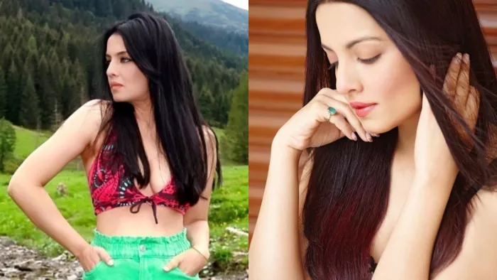 File Photo of Acress Celina Jaitly. Photo Credit: Instagram