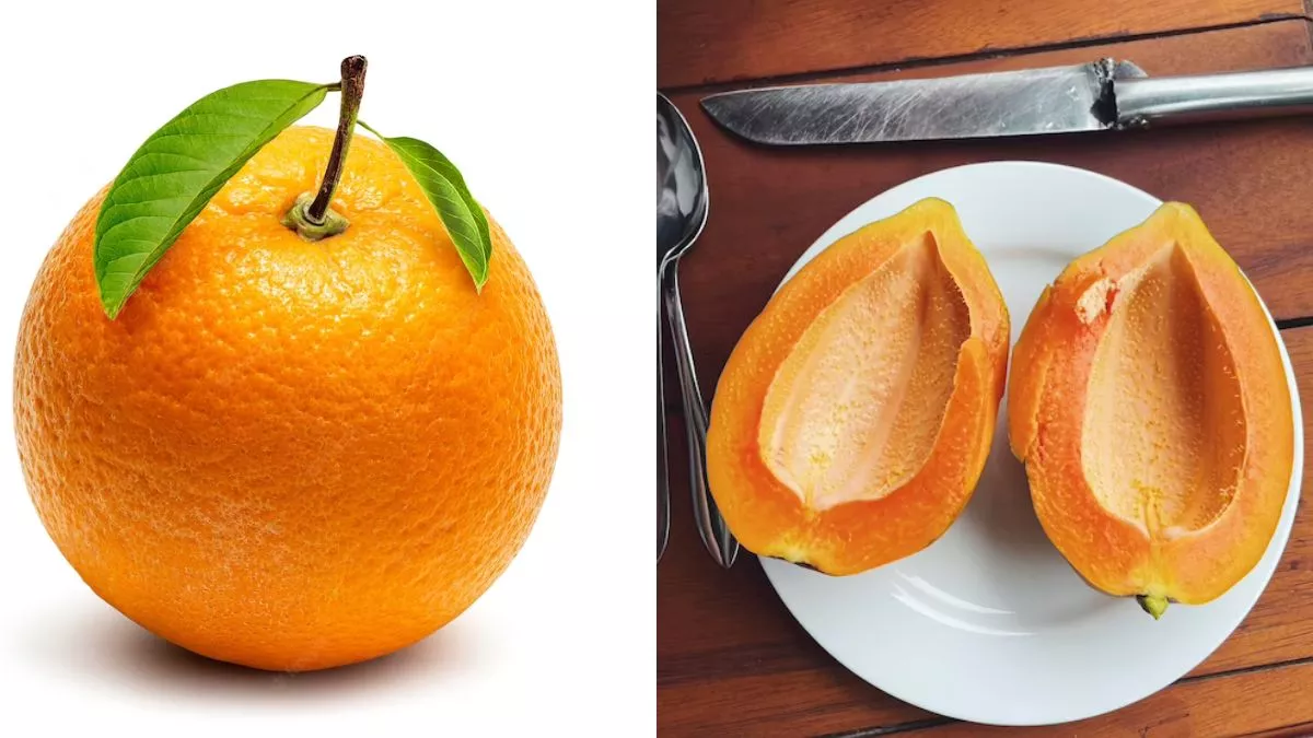 Healthy Bones: विटामिन-D की कमी को पूरा करने के लिए डाइट में शामिल करें ये 5 फ्रूट्स, हड्डियां रहेंगी मजबूत