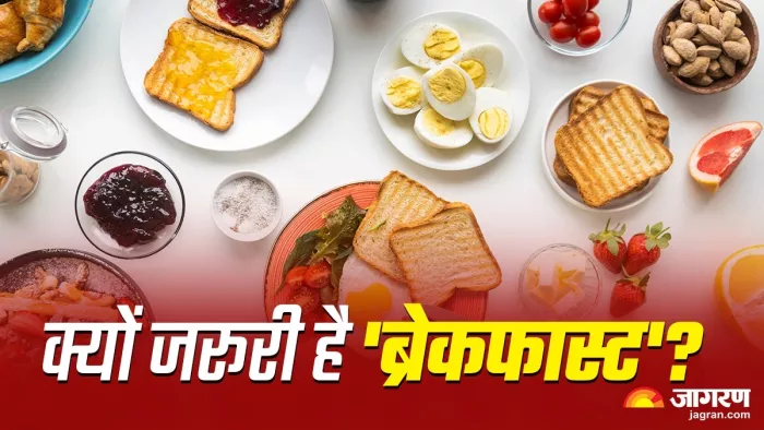 इन वजहों से जरूरी है सुबह का नाश्ता