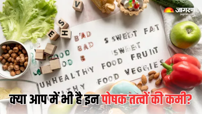 Nutrient Deficiencies: ज्यादातर भारतीयों में है इन 5 पोषक तत्वों की कमी (Picture Courtesy: Freepik)