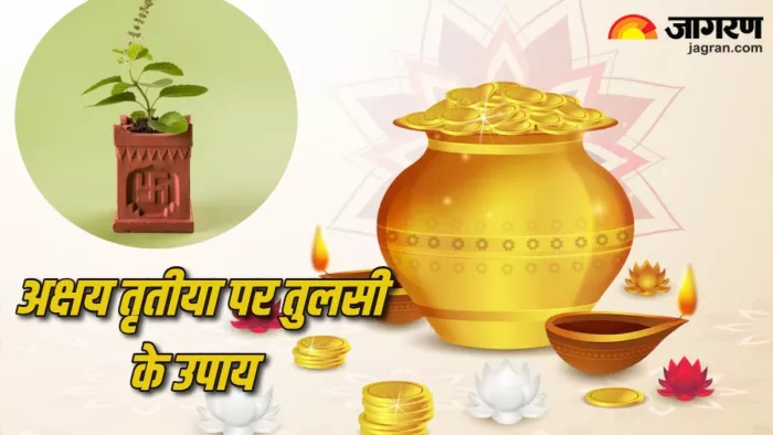 Akshaya Tritiya 2024 अक्षय तृतीया पर करें तुलसी से जुड़े ये उपाय।