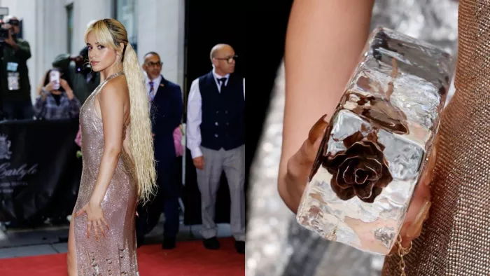 Camila Cabello Met Gala 2024 (Photo Instagram)