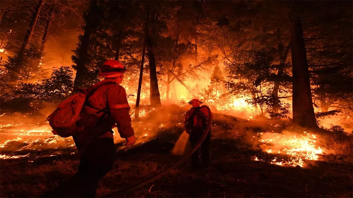 Nainital News: जंगल की आग के रोकथाम को लेकर प्रशासन अलर्ट, इन चीजों पर पूरी तरह लगा प्रतिबंध; उल्लंघन पर होगी कार्रवाई