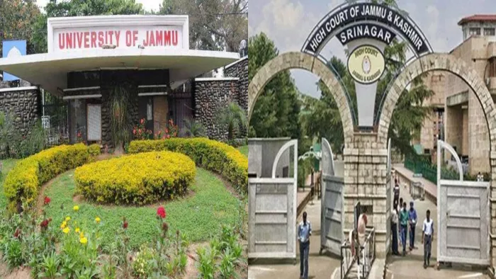 'जम्मू विश्वविद्यालय को EWS श्रेणी में नियुक्ति का अधिकार नहीं...', आरक्षण मामले में हाई कोर्ट का अहम फैसला