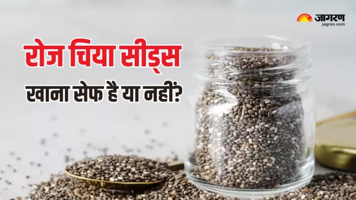 Chia Seeds Side Effects: चिया सीड्स खाने से भी हो सकता है नुकसान (Picture Courtesy: Freepik)