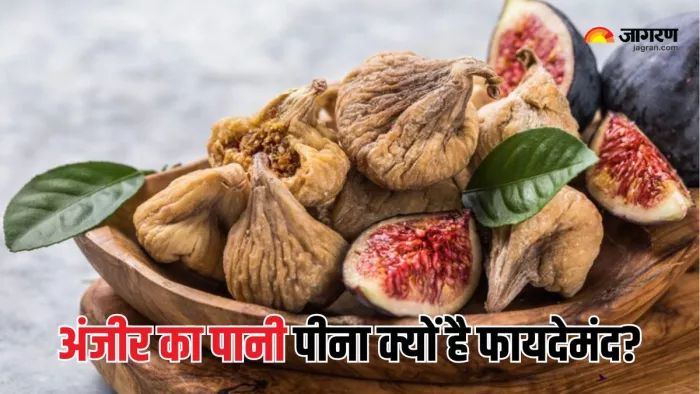 Anjeer Water Benefits: सेहत के लिए अमृत है अंजीर का पानी (Picture Courtesy: Freepik)