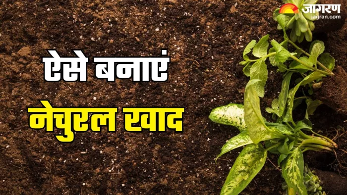 घर पर बनाएं आर्गेनिक खाद आसान तरीका