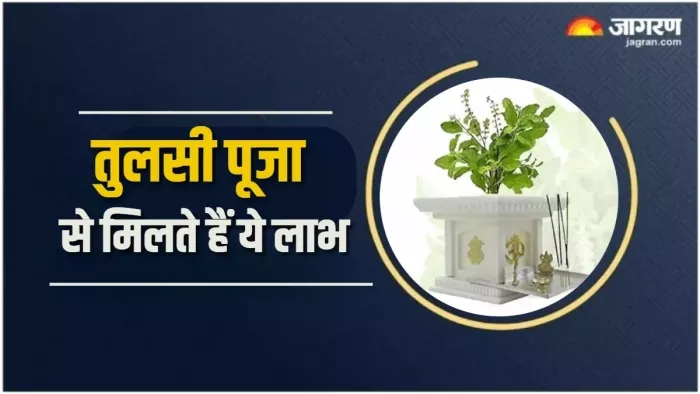 Tulsi Puja: देवी मां तुलसी को कैसे प्रसन्न करें?