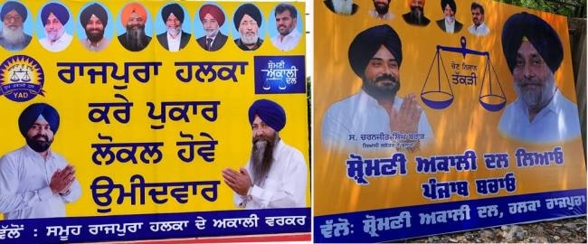 siromani akali dal poster war in rajpura - Punjab Patiala Politics News