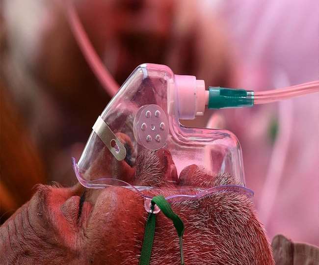 अस्पताल में भर्ती 42 में से 27 लोगों को दिया गया इंजेक्शन