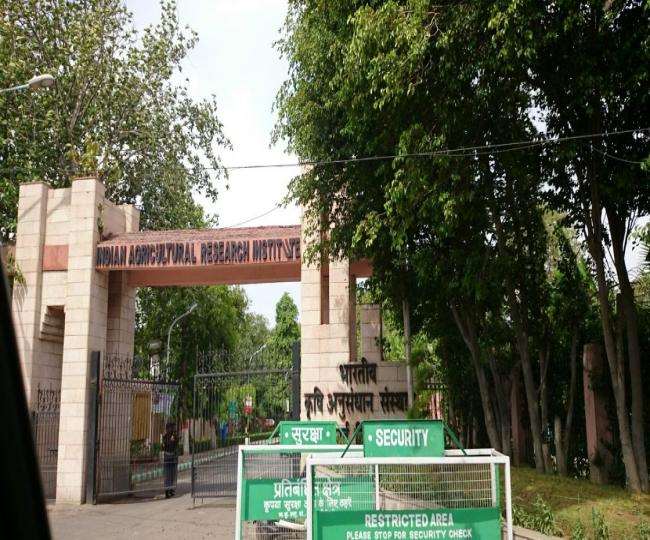 नई दिल्ली स्थित भारतीय कृषि अनुसंधान संस्थान में नई किस्मों की खोज की जाती है।