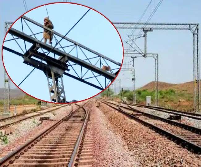 रेलवे ओएचई को नुकसान पहुंचने से बंदरों को रोकने के लिए विशेष डिवाइस लगाने जा रहा है।