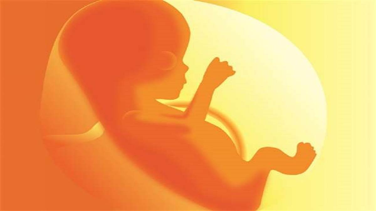 तमिलनाडु में भ्रूण बिक्री का मामला आया सामने (प्रतीकात्मक तस्वीर)
