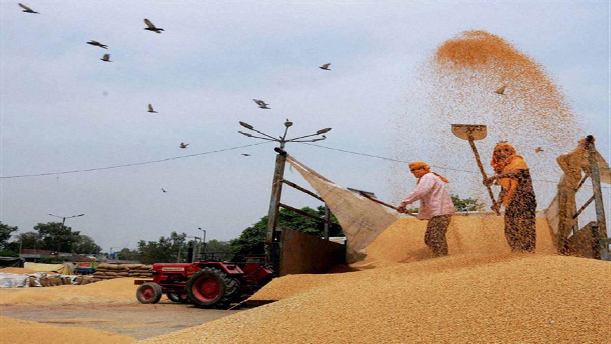 भारत में हर वर्ष जितना भोजन तैयार होता है उसका एक तिहाई बर्बाद चला जाता है