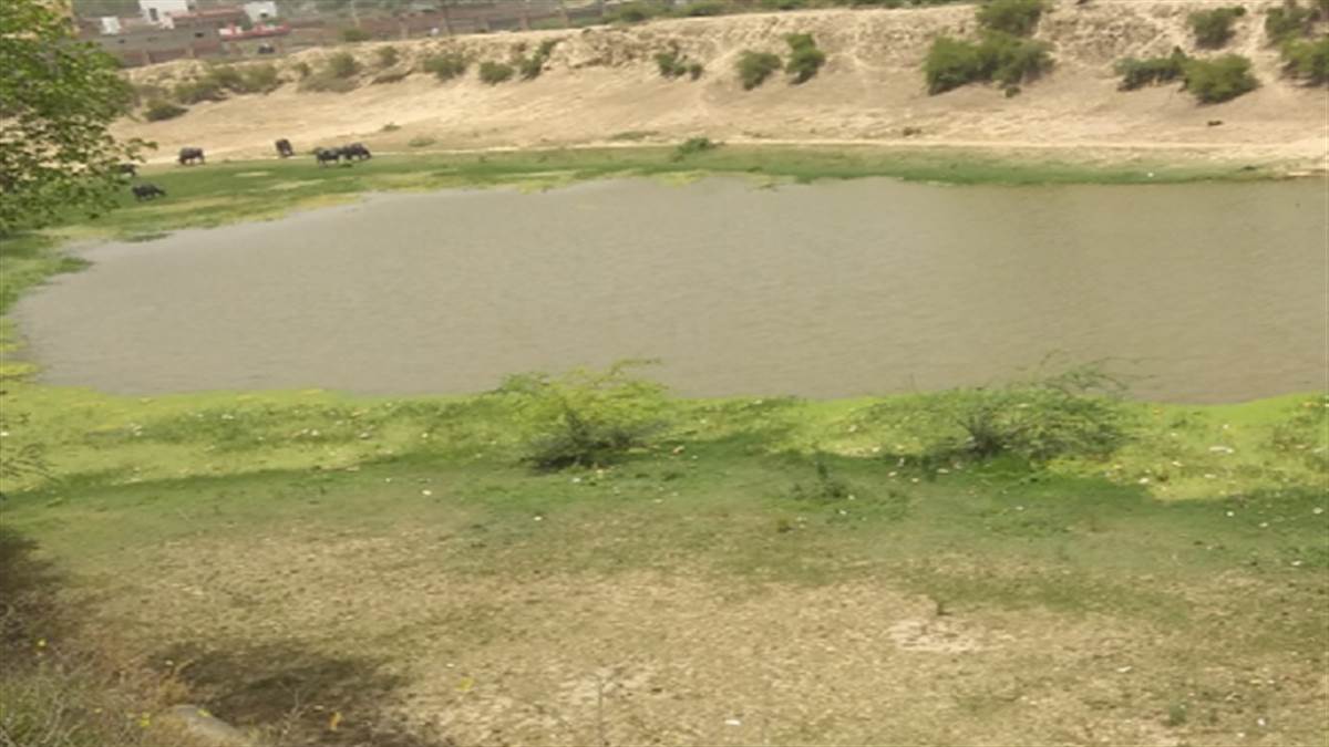 अमृत सरोवरों को सुंदर बनाने के लिए मनरेगा के मजदूर गर्मी में पसीना बहा रहे हैं।