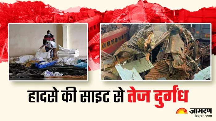 Odisha Train Tragedy: हादसे की जगह से आने लगी है तेज दुर्गन्‍ध, अभी भी बिखरे पड़े हैं शवों के छोटे-छोटे टुकड़े