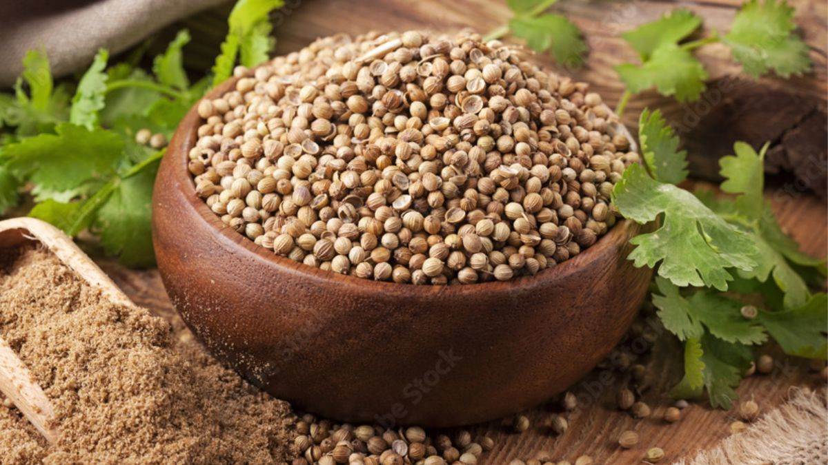 Coriander Water Benefits वजन कम करने वालों के लिए बेहद कारगर है धनिया